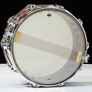 DW Collector's DRX66514SSG 14x6.5 inch Snare Drum SSC Maple Exotic Santos Rosewood