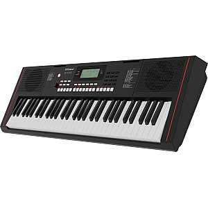 Roland EX10 Arranger Keyboard