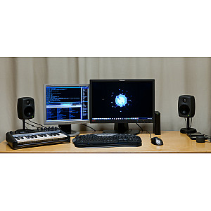 Genelec 6010A BiAmplified Monitor