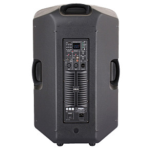 BLG BP19 15A53 Professional Plastic Speaker System